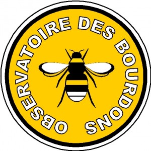 Observatoire des bourdons